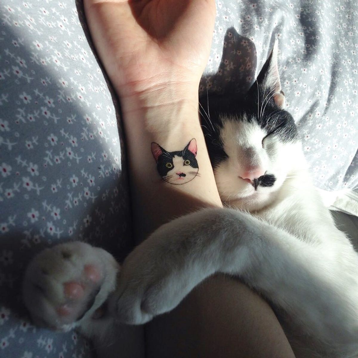 20 Minimalist Cat Tattoos for the Subtle CatLover • Tattoodo