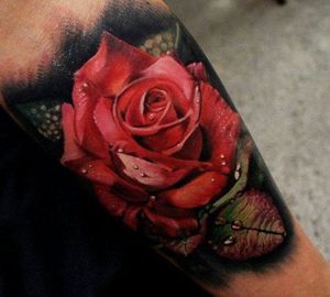#rose #realistic #floral #flower