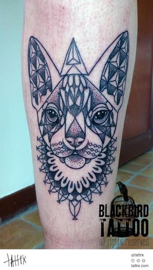 Contemporary Sphynx Cat Tattoo by Blackbird Tattoo