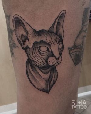 Sphynx Cat Tattoo by Siha Tattoo