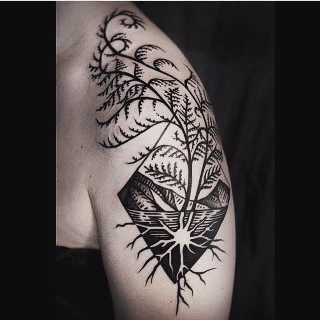 Fern Tattoo Meaning What Does It Symbolize  Tatticle