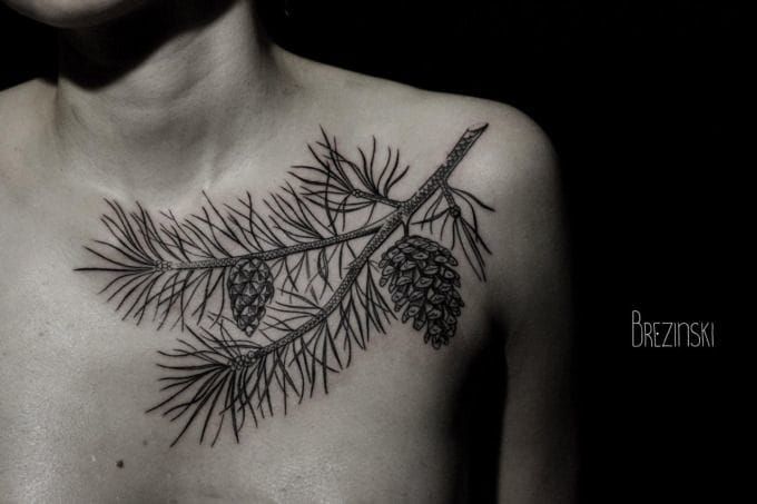 30 Pine Cone Tattoo Designs To Celebrate Beauty of Nature  TattooAdore   Tattoos Tattoo designs Pine tattoo