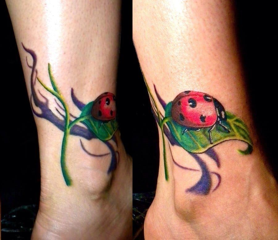 14 Latest Ladybug Tattoos Designs