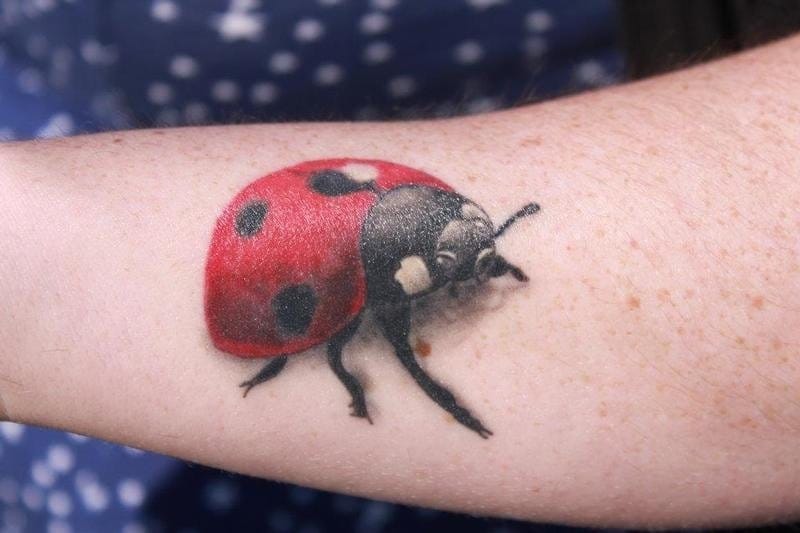 10 Realistic Ladybug Tattoo Designs for Nature Lovers