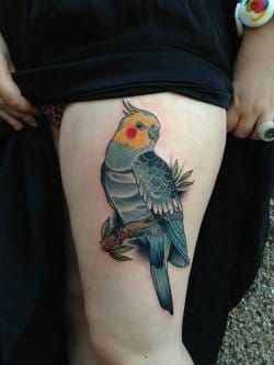 goffin cockatoo tattoo