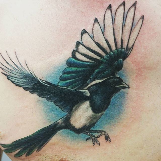 Brilliant Magpie Tattoo by Paul Massison