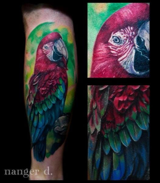 Aggregate more than 75 tattoos of parrots  thtantai2