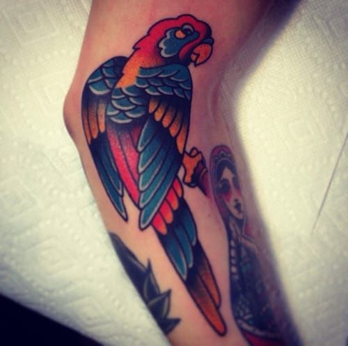60 Parrot Tattoo Designs For Men  Mimicry Ink Ideas  Parrot tattoo Tattoo  designs men Tattoo designs