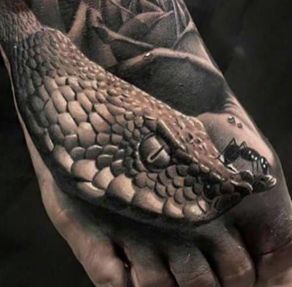 20 Traditional Snake Head Tattoo Designs  Ideas  PetPress  Traditional snake  tattoo Black ink tattoos Traditional black tattoo
