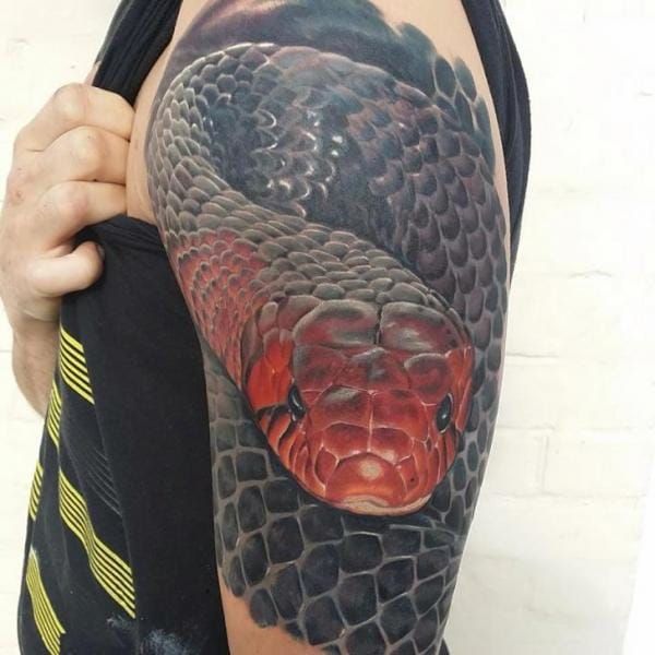 Realism snake by Kyle Ghost  drop of ink tattoos in Mechanicsburg  r tattoos