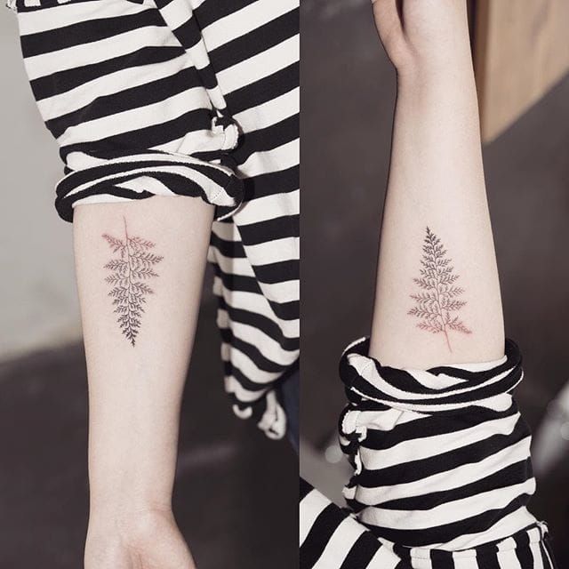 Black small fern tattoo on the ankle by jakub nowicz | Fern tattoo, Tattoos,  Ferns