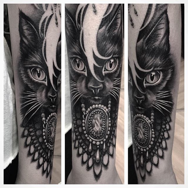 Lovely black cat.