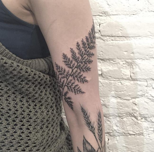 birch leaf tattoo