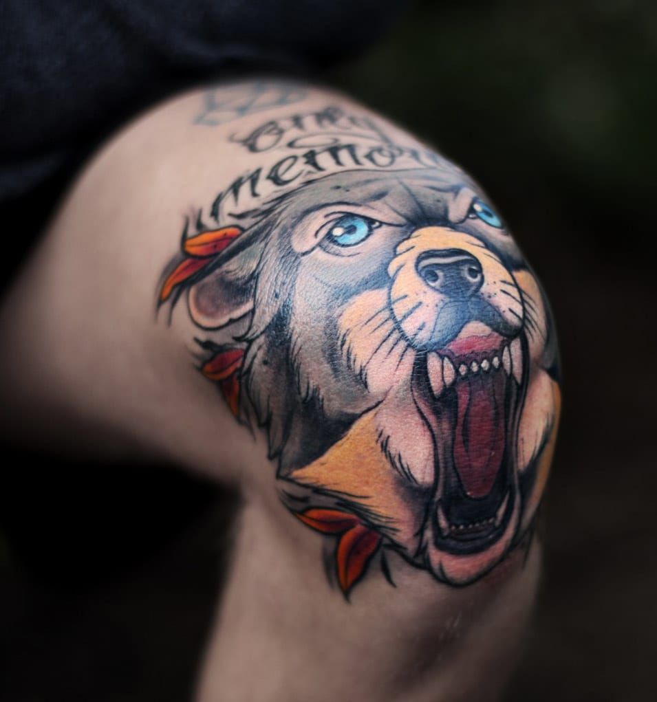 bear vs wolf on the knees done by amandaslatertattoo at lakeside tattoo  in RVA  rtraditionaltattoos