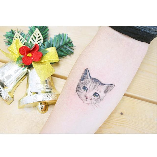 Endearing kitty.