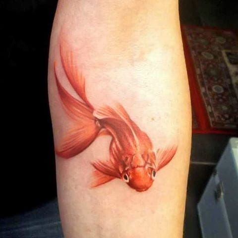 gold fish tattoo