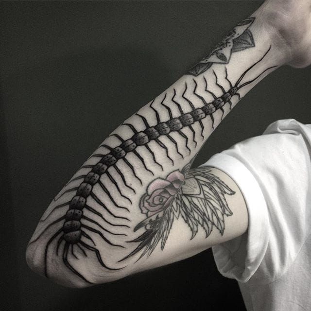 skull centipede spine tattooTikTok Search