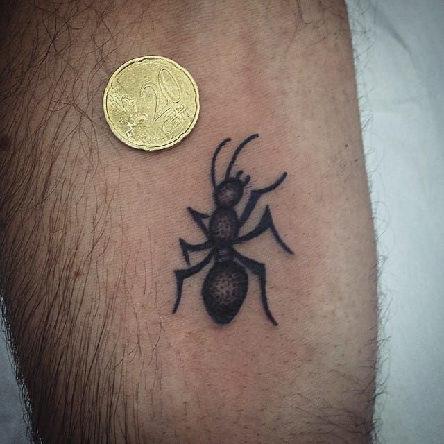 10 Mighty Ant Tattoos • Tattoodo