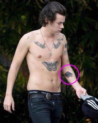 Harry Styles Tattoos and Their Meanings  Photos of His Ink