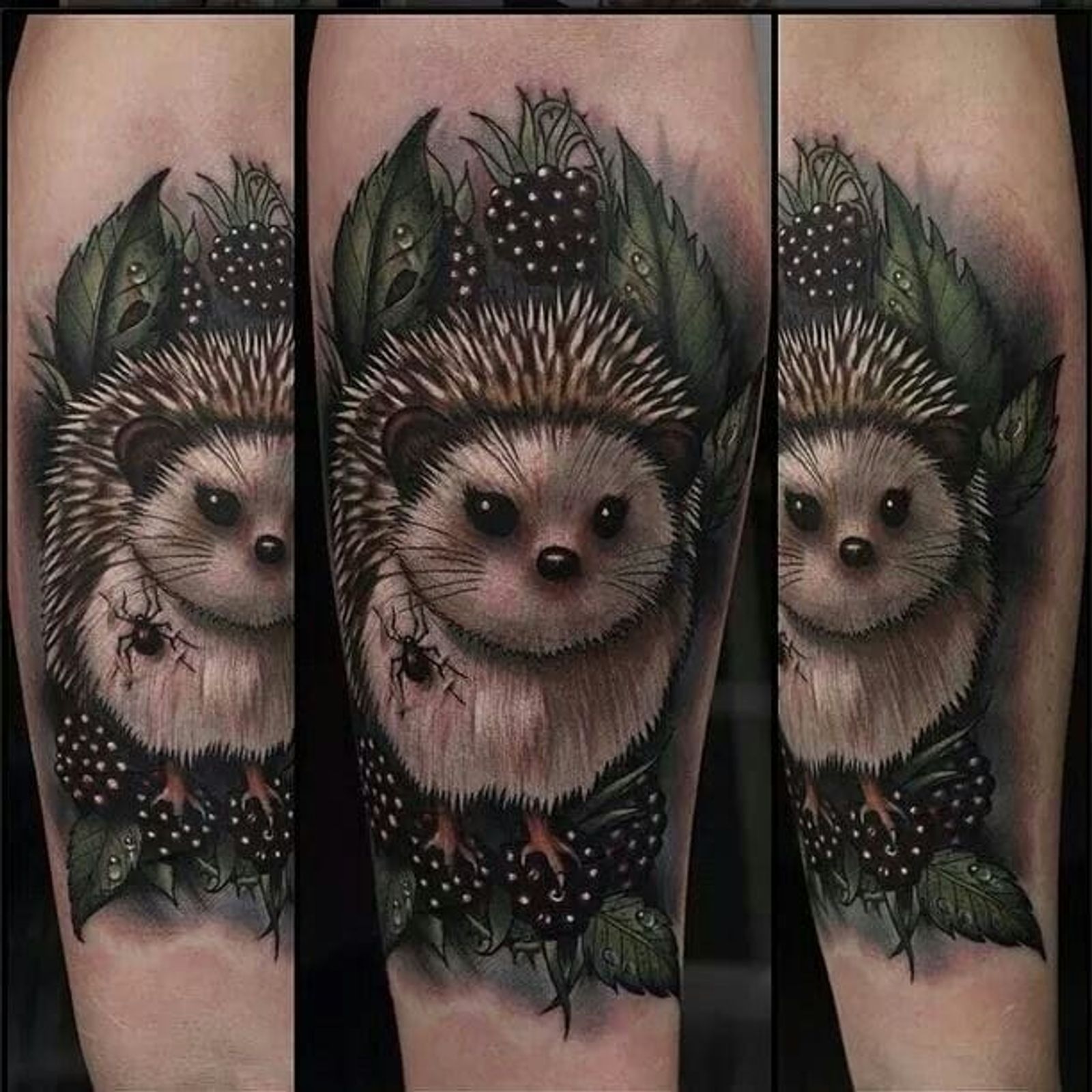 8 Adorable Hedgehog Tattoos • Tattoodo
