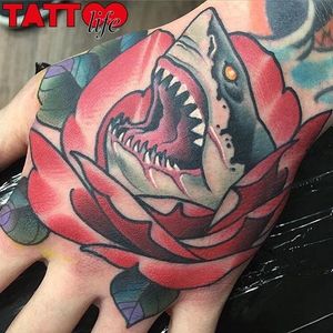 Shark Rose Tattoo by Anthony Cole