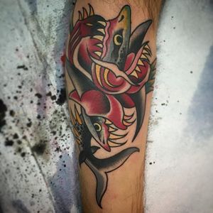 Shark Rose Tattoo by Chad Koeplinger