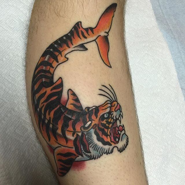 50 Tiger Shark Tattoo Designs For Men  Sea Tiger Ink Ideas  Traditional shark  tattoo Shark tattoos Traditional lion tattoo