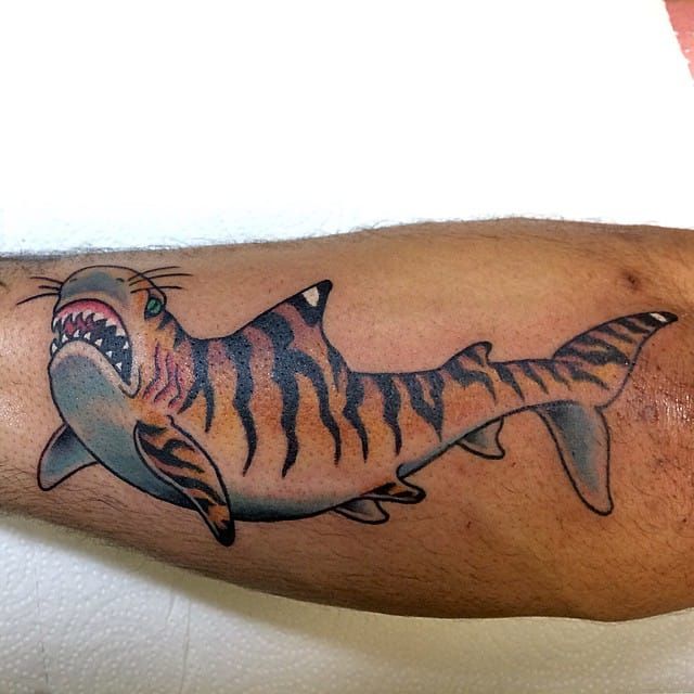 tiger shark tattoo  Sean Vera  Flickr