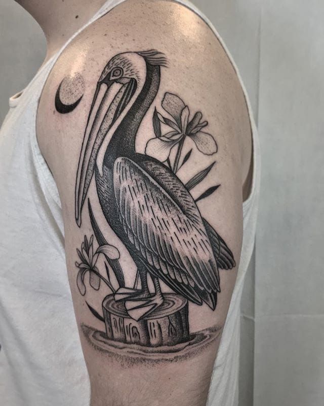 50 Pelican Tattoos For Men ndash Water Bird Design Ideas  Pelican tattoo  Tattoos for guys Tattoos