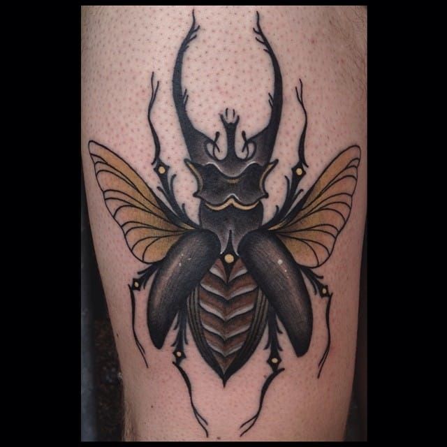How to Draw a Scarab Beetle Tattoo  YouTube