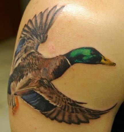 Aggregate more than 59 wood duck tattoo latest  ineteachers