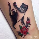 Yoga Cat by Iris Lys