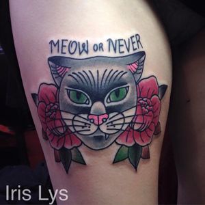 "Meow or Never" by Iris Lys