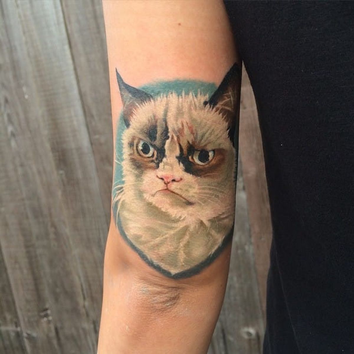 11 Funny Grumpy Cat Tattoos. 