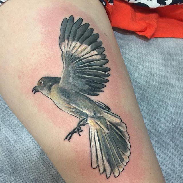 Mockingbird Tattoo Meaning and Symbolism