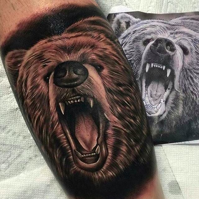 10 Wild Bear Tattoos • Tattoodo