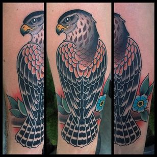 11 Distinguished Traditional Hawk Tattoos • Tattoodo
