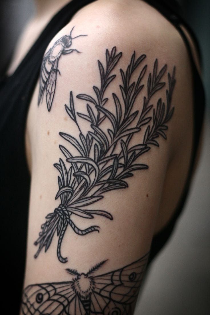 Rosemary, also by Alice.