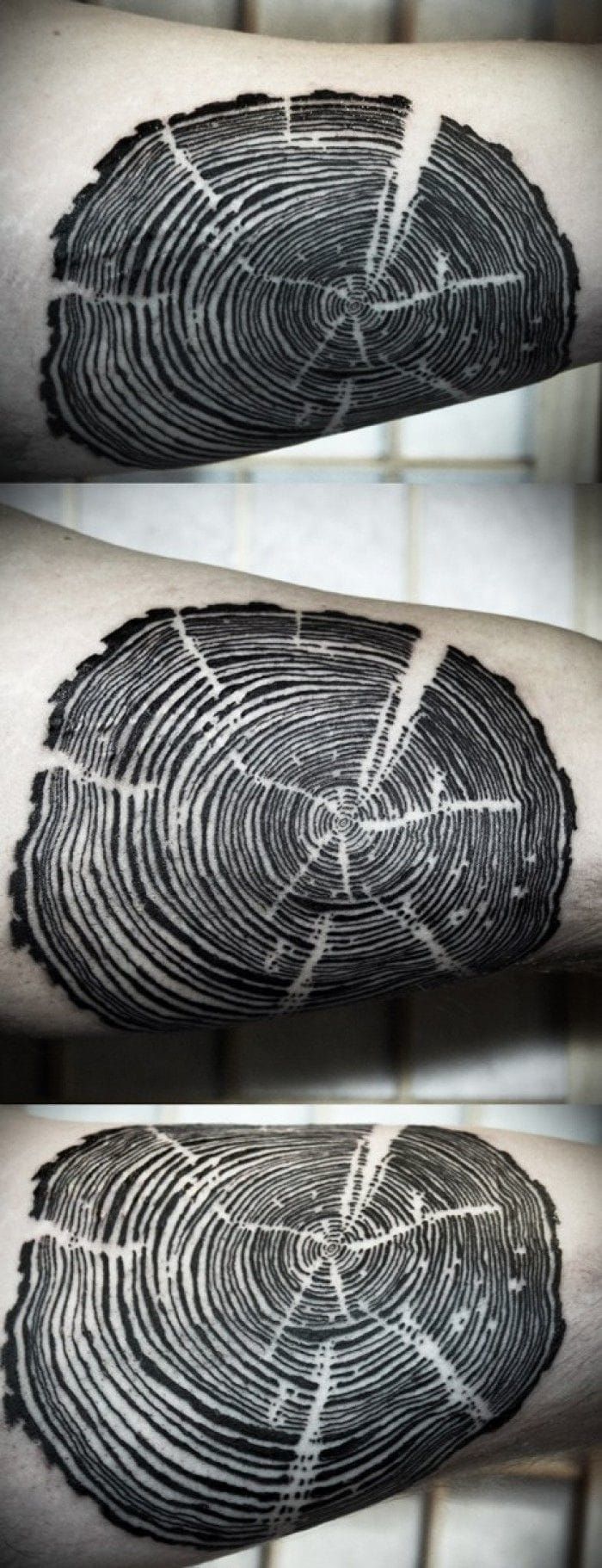 Nature is about tiny plants but also old and gigantic ones: trees! If you don't want the whole tree tattooed on you, get an original tattoo with this trunk cut. By David Hale.