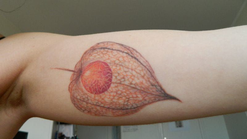 A bigger Physalys by Leïla of Dragon Tattoo in France. Here we also call this fruit "Love in a cage". Inspiring, right?