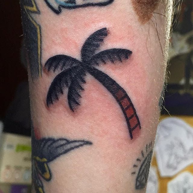 Solid palm tree tattoo done by Twelve Seconds  Tattoogridnet