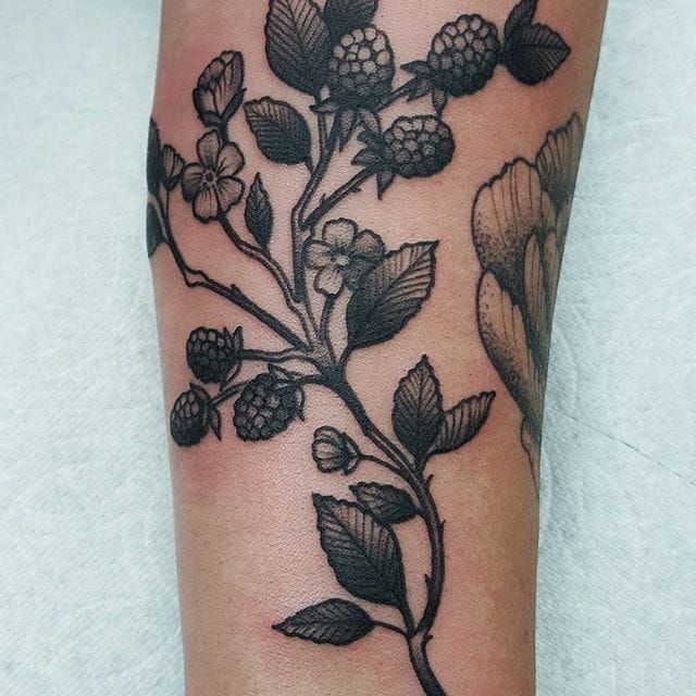 Delicate Blackberry Floral Illustration Tattoo  Blackberry tattoo  Botanical tattoo Floral illustration tattoo
