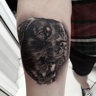 11 Reserved Rottweiler Tattoos • Tattoodo