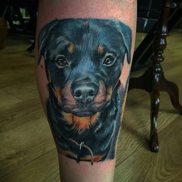 11 Reserved Rottweiler Tattoos • Tattoodo