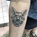 Cat Skull Tattoo by Yvonne Kang #catskull #catskulltattoo #catskulltattoos #animalskull #animalskulltattoo #cat #cattattoos #blackwork #dotwork #blackworkcatskull #YvonneKang