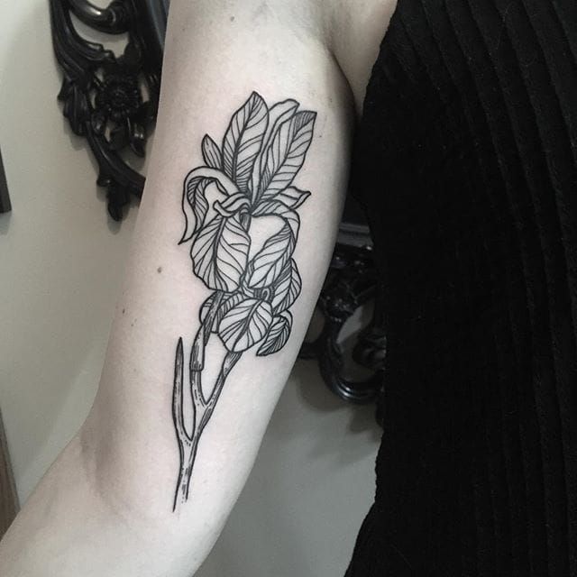 Cool Black Ink Iris Flower Tattoo Design