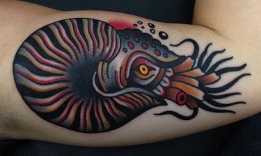8 Strikingly Bold Nautilus Tattoos Tattoodo