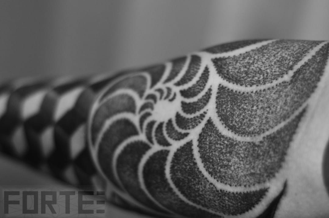 Close-up on a dotwork geometric sleeve by Dillon Forte using a shell pattern, connected with the Fibonacci sequence.