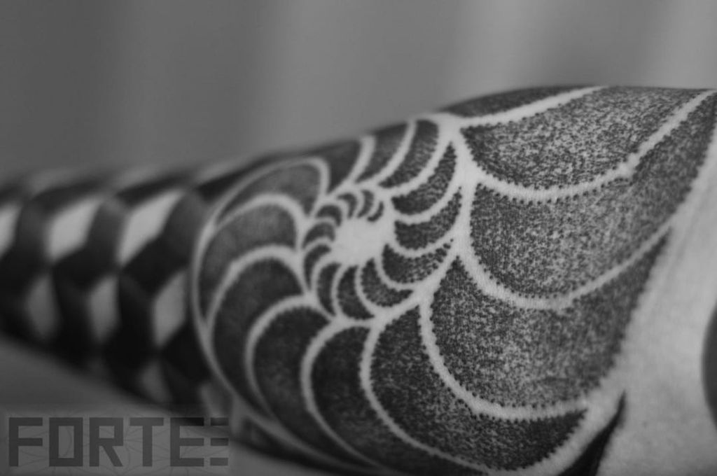 Close-up on a dotwork geometric sleeve by Dillon Forte using a shell pattern, connected with the Fibonacci sequence.