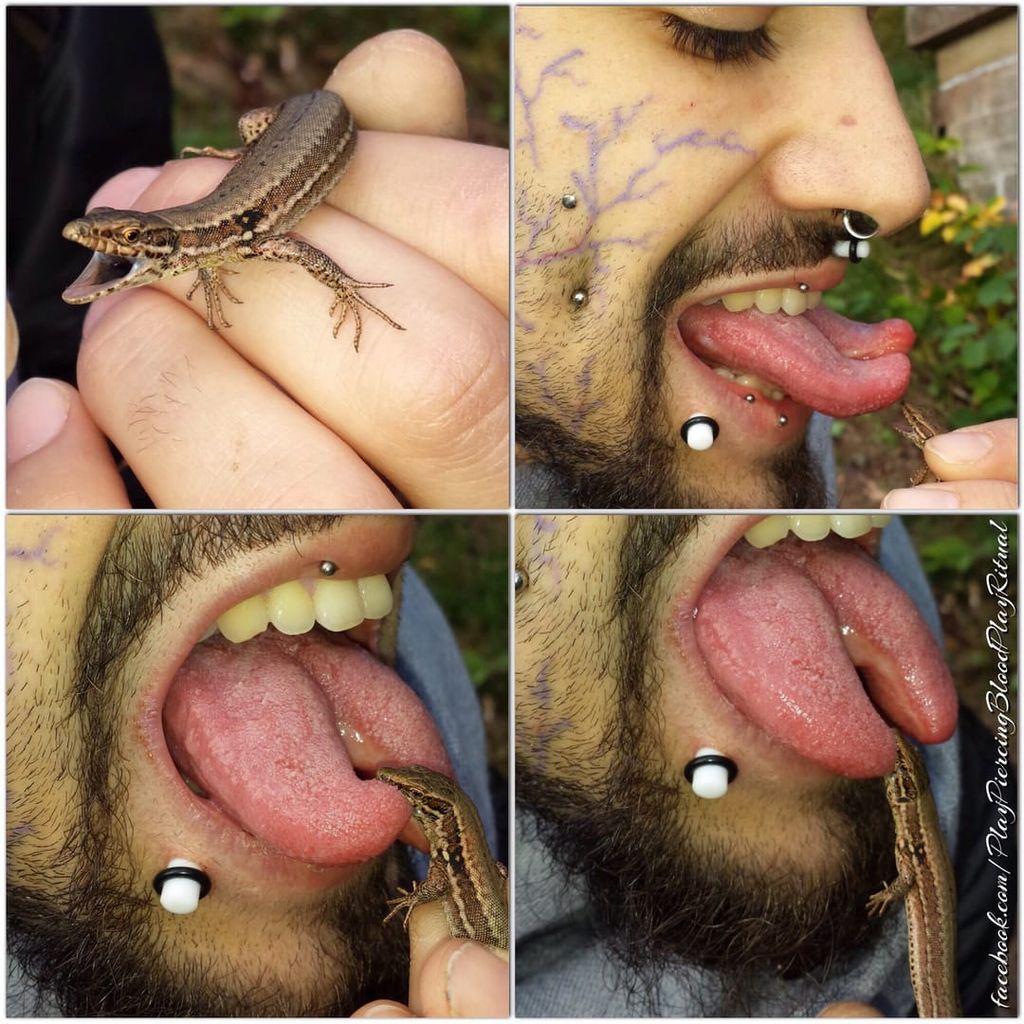 Tongue modification